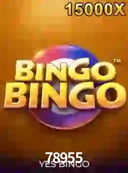 bingobingo