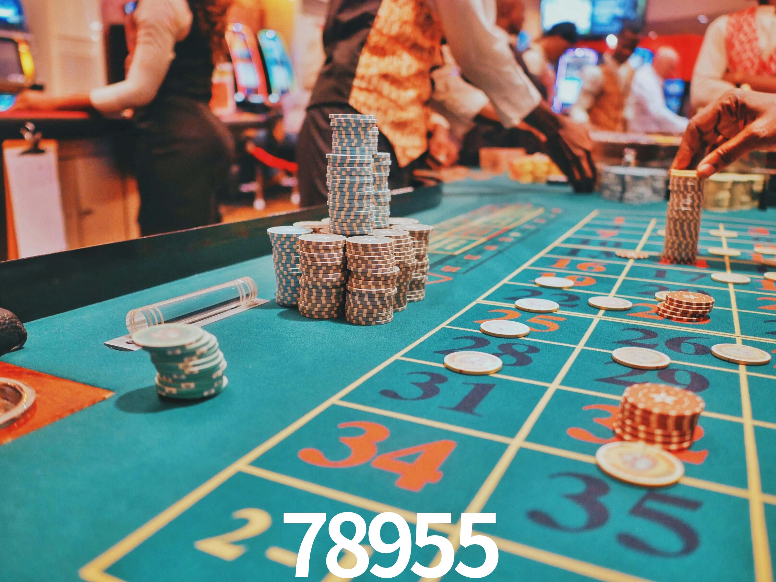 Casino Ao Vivo 78955